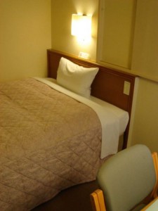 bed bug control bed bug control